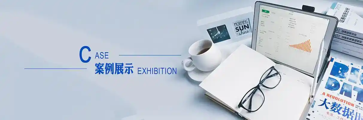 称多县软件开发
